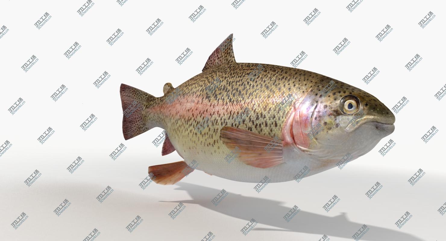 images/goods_img/20210313/Trout (Animated) 3D model/4.jpg